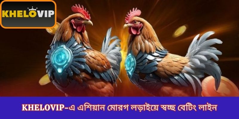 KheloVIP-এ এশিয়ান মোরগ লড়াইয়ে স্বচ্ছ বেটিং লাইন